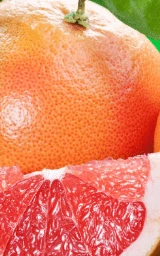 Оранжевый плащ Майнкрафт — скачать бесплатно