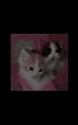 Животное плащ Майнкрафт — скачать бесплатно