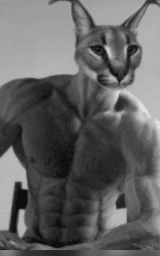 Кошка плащ Майнкрафт — скачать бесплатно