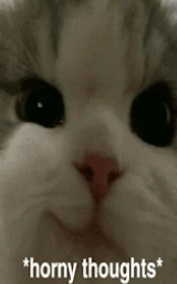 Кошка плащ Майнкрафт — скачать бесплатно