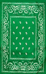 Зелёный плащ Майнкрафт — скачать бесплатно