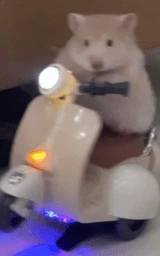 Кошка плащ Майнкрафт — скачать бесплатно