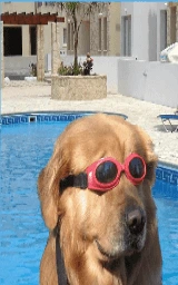 В очках плащ Майнкрафт — скачать бесплатно