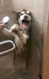 Животное плащ Майнкрафт — скачать бесплатно