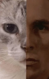 Кошка плащ Майнкрафт — скачать бесплатно