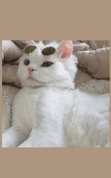 Животное плащ Майнкрафт — скачать бесплатно