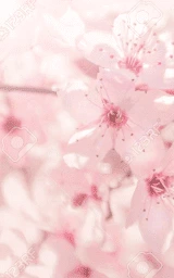 Розовый плащ Майнкрафт — скачать бесплатно
