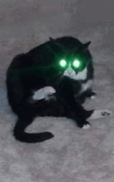 Кошка плащ Майнкрафт — скачать бесплатно
