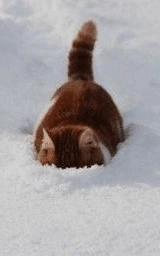 Коричневый плащ Майнкрафт — скачать бесплатно