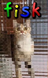 Кошка плащ Майнкрафт — скачать бесплатно