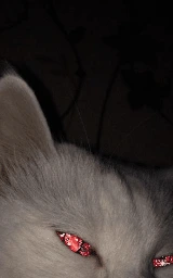 Животное плащ Майнкрафт — скачать бесплатно