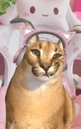 Кошка плащ Майнкрафт — скачать бесплатно