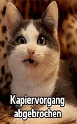 Кошка плащ Майнкрафт — скачать бесплатно