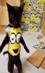 Кошка плащ Майнкрафт — скачать бесплатно