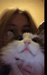 Кошка плащ Майнкрафт — скачать бесплатно