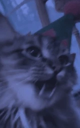 Животное плащ Майнкрафт — скачать бесплатно