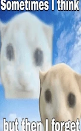 Медведь плащ Майнкрафт — скачать бесплатно