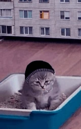 Кошка плащ Майнкрафт — скачать бесплатно