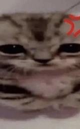 Кошка плащ Майнкрафт — скачать бесплатно