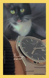 Кошка плащ Майнкрафт — скачать бесплатно