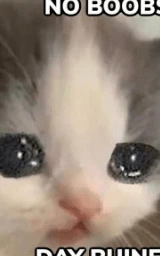 Кошка плащ Майнкрафт — скачать бесплатно