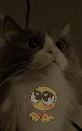 Кошка плащ Майнкрафт — скачать бесплатно