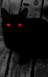 Кошка плащ Майнкрафт — скачать бесплатно