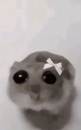 Медведь плащ Майнкрафт — скачать бесплатно