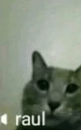 Кошка плащ Майнкрафт — скачать бесплатно