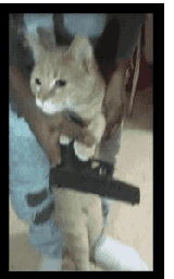Кошка плащ Майнкрафт — скачать бесплатно