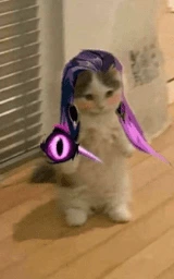 Кошка плащ Майнкрафт — скачать бесплатно