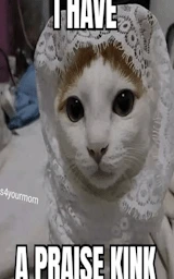 Животное плащ Майнкрафт — скачать бесплатно
