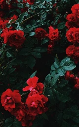 Красный плащ Майнкрафт — скачать бесплатно