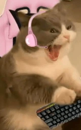 Кошка плащ Майнкрафт — скачать бесплатно