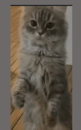 Серый плащ Майнкрафт — скачать бесплатно