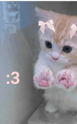 Кошка плащ Майнкрафт — скачать бесплатно