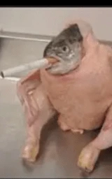 Мем плащ Майнкрафт — скачать бесплатно