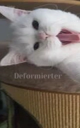 Белый плащ Майнкрафт — скачать бесплатно