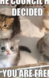 Кошка плащ Майнкрафт — скачать бесплатно