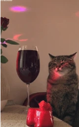 Кошка плащ Майнкрафт — скачать бесплатно