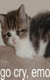 Кошка плащ Майнкрафт — скачать бесплатно
