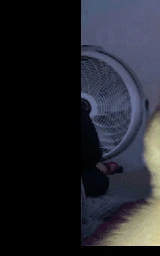 Утка плащ Майнкрафт — скачать бесплатно