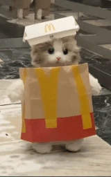 Кошка плащ Майнкрафт — скачать бесплатно