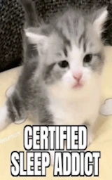Кошка плащ Майнкрафт — скачать бесплатно