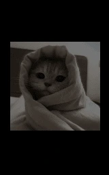 Кошка плащ Майнкрафт — скачать бесплатно