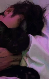 Кошка плащ Майнкрафт — скачать бесплатно
