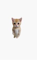 Кошка плащ Майнкрафт — скачать бесплатно