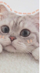 Кошка плащ Майнкрафт — скачать бесплатно
