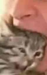 Кошка плащ Майнкрафт — скачать бесплатно