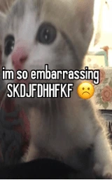 Кошка плащ Майнкрафт — скачать бесплатно